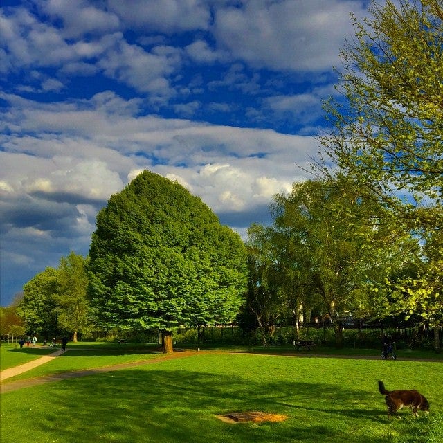 A photo of Warwick Gardens