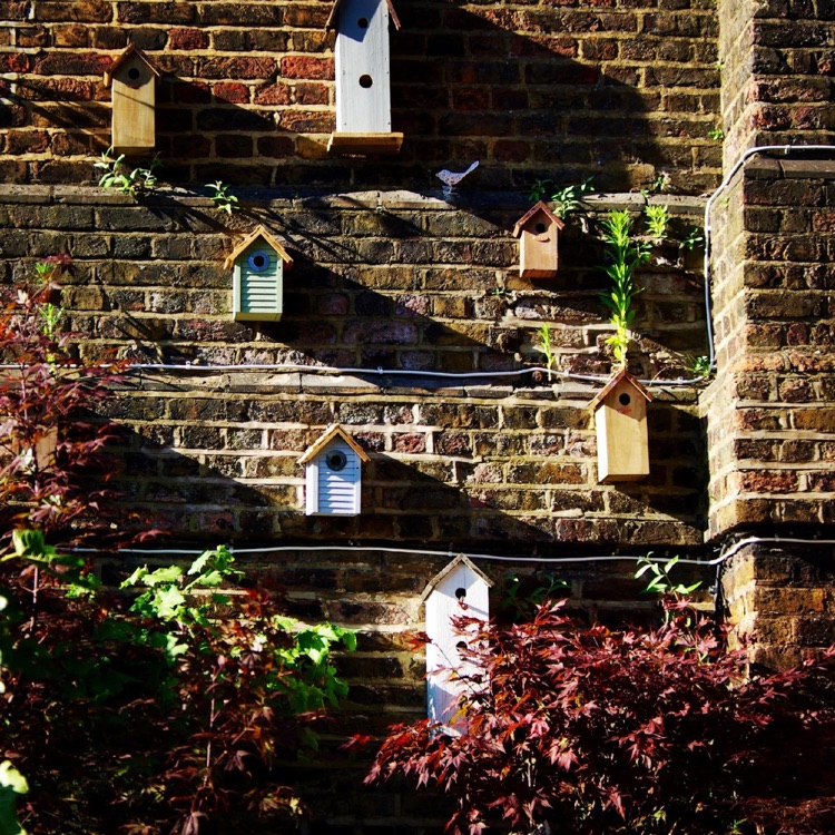 A photo of The Nunhead Gardener