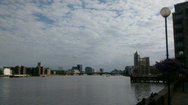 A photo of Cremorne Gardens
