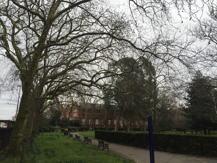 A photo of Museum Gardens