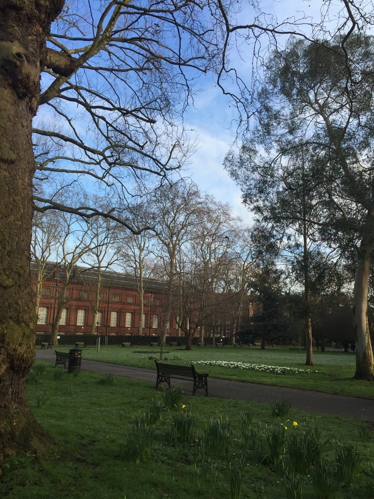 A photo of Museum Gardens