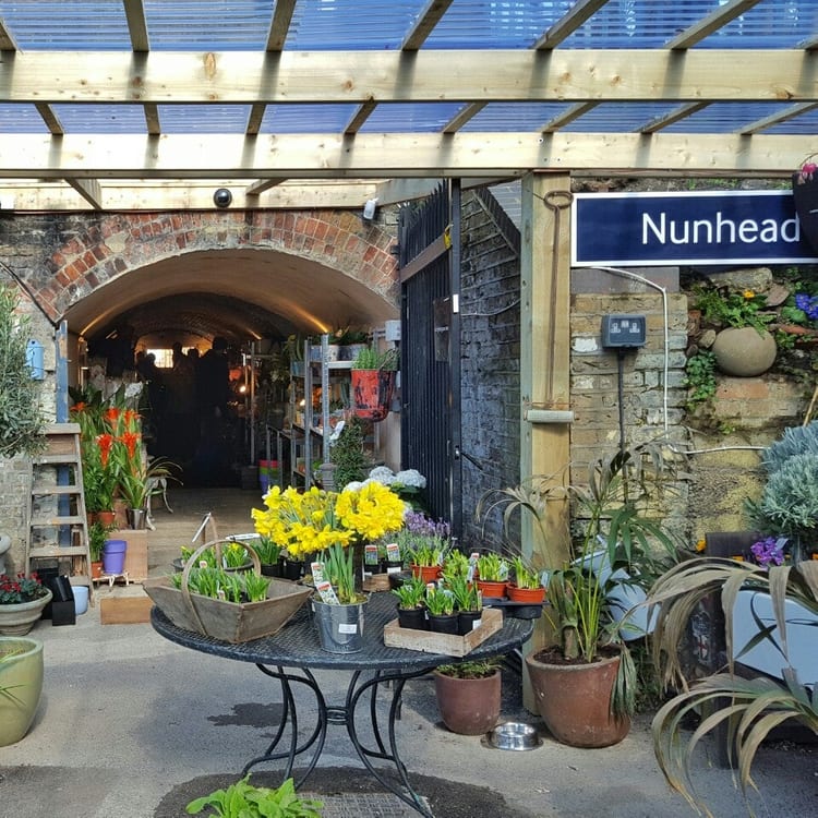 A photo of The Nunhead Gardener