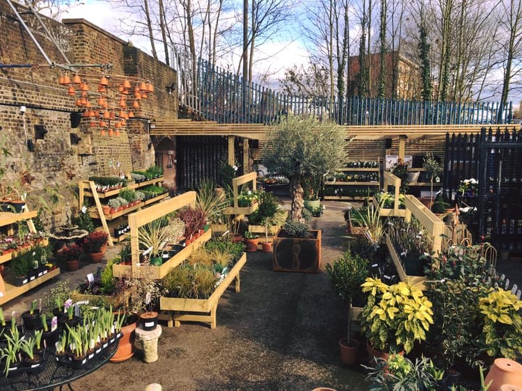 A photo of The Nunhead Gardener