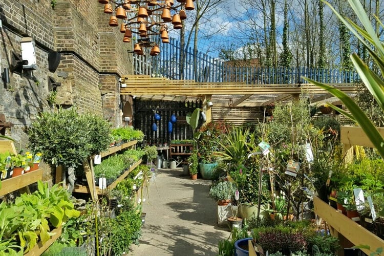 A photo of The Nunhead Gardener