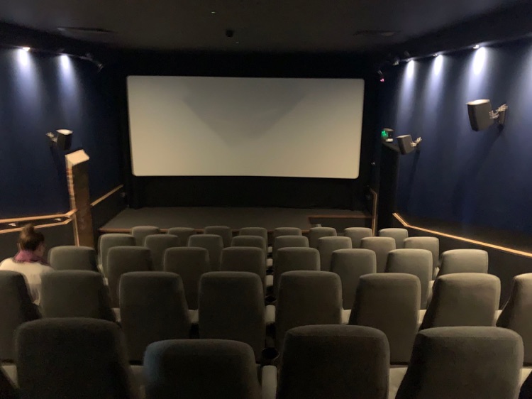 East Dulwich Picturehouse, Lordship Lane, East Dulwich SE22: One of the cinema screens