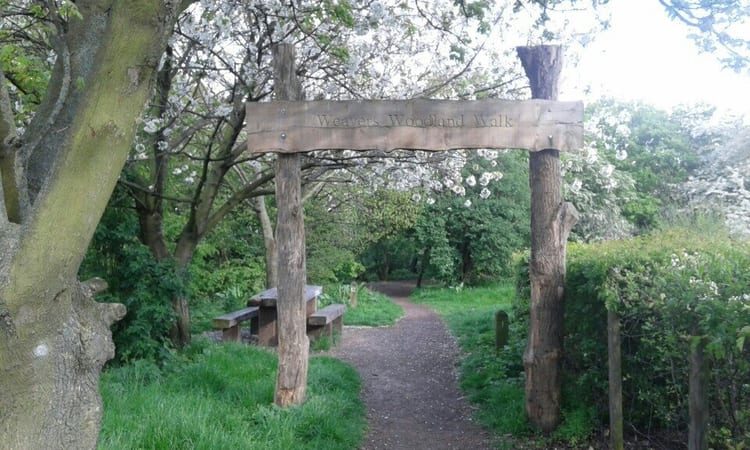 A photo of Ravenscroft Park