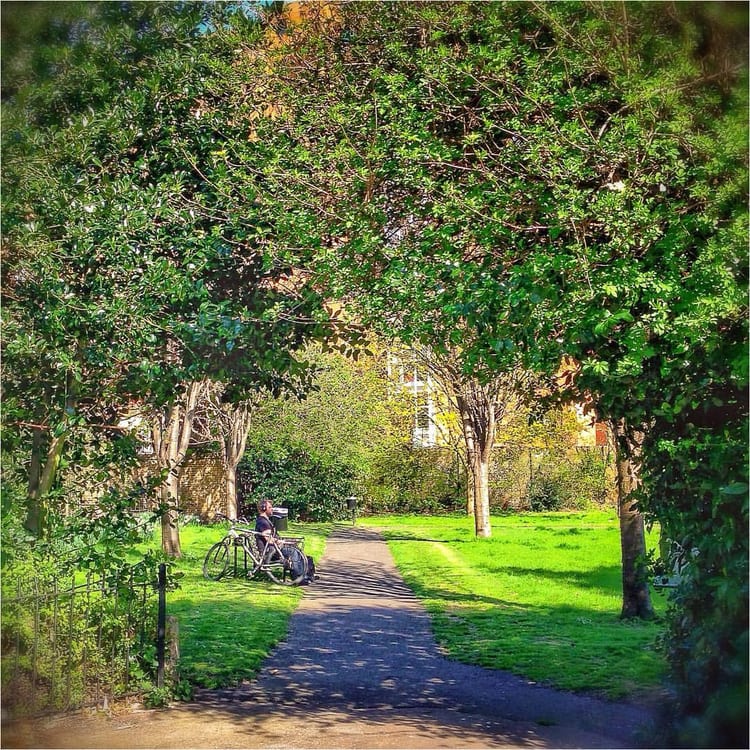 A photo of King Edward Memorial Park
