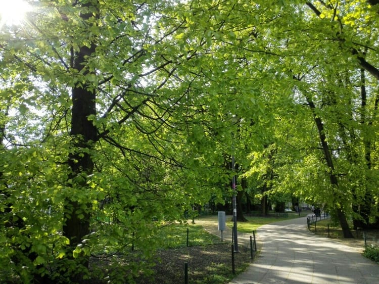 A photo of Park Karola Beyera