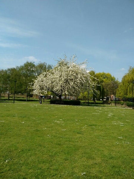 A photo of Haggerston Park
