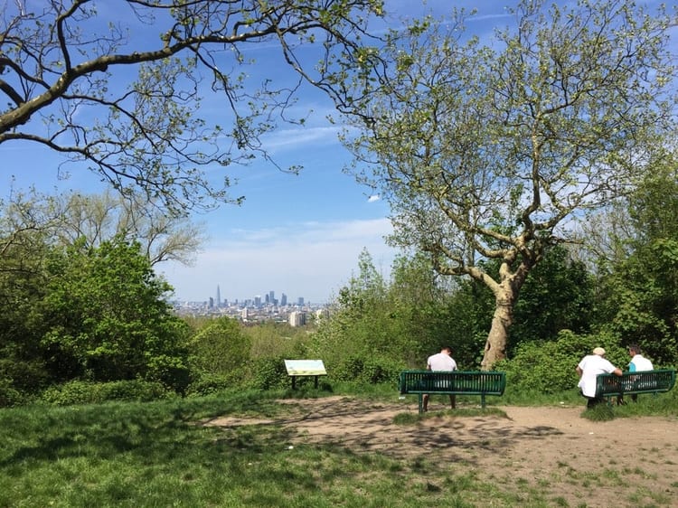 A photo of One Tree Hill