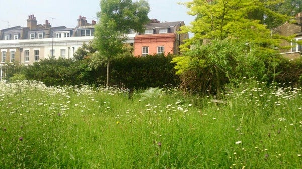 A photo of Cremorne Gardens