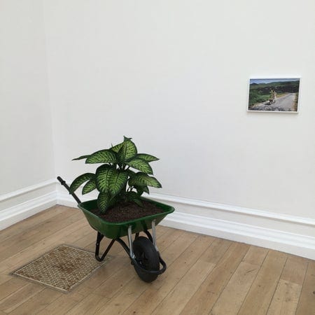 A photo of South London Gallery