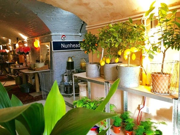 A photo of The Nunhead Gardener