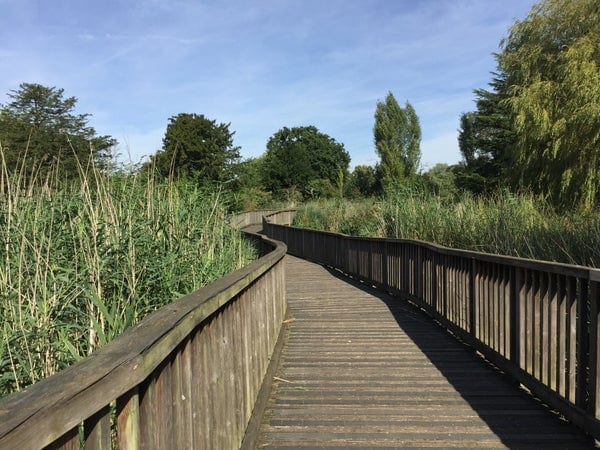 A photo of Dulwich Park
