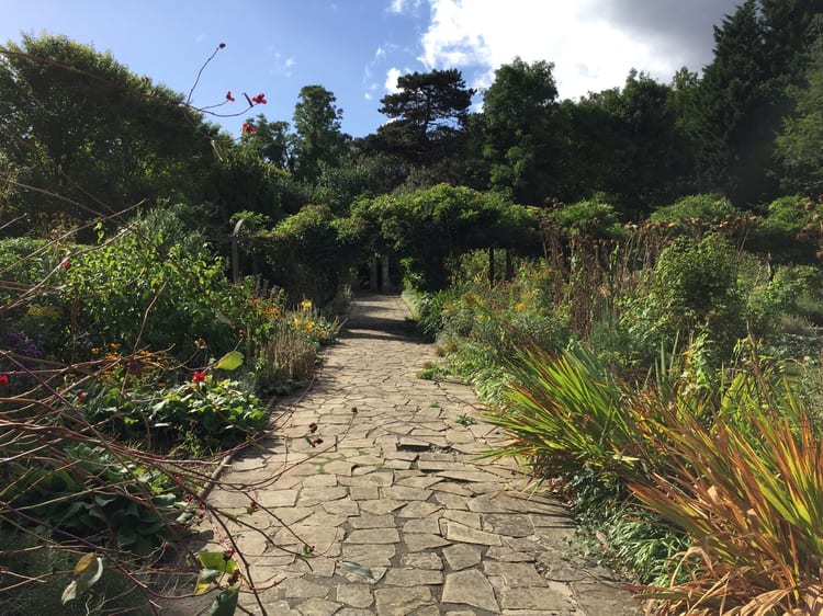 A photo of Peckham Rye Park