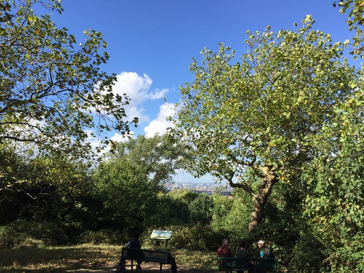 A photo of One Tree Hill