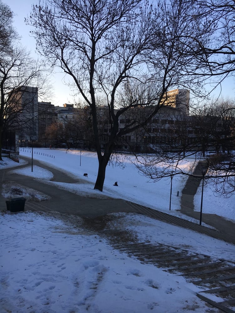A photo of Park Karola Beyera