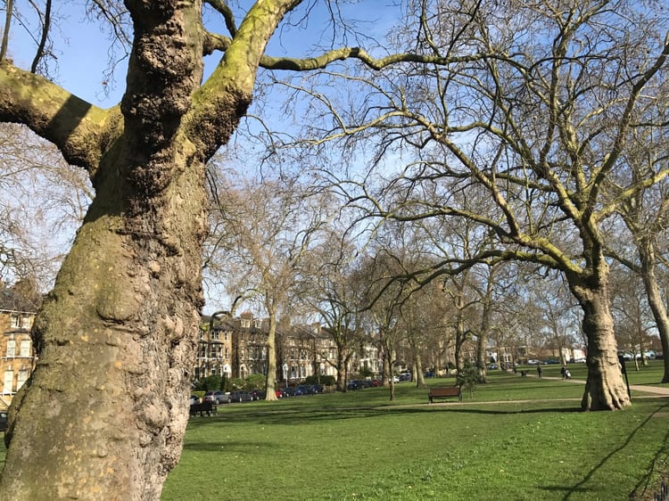 A photo of Goose Green