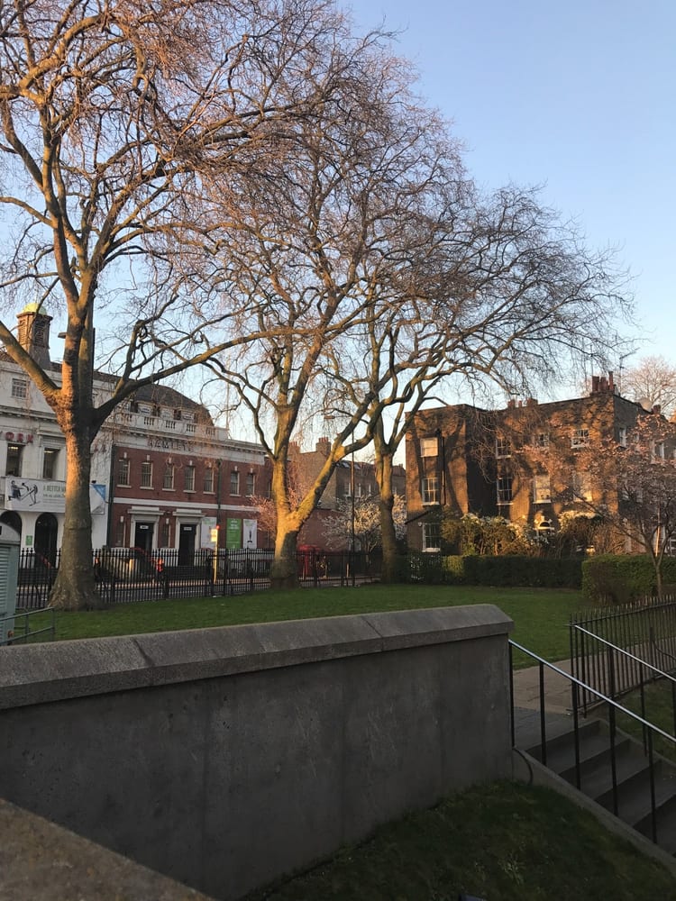 A photo of Museum Gardens