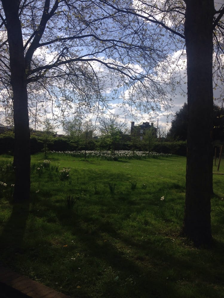 A photo of St George's Gardens