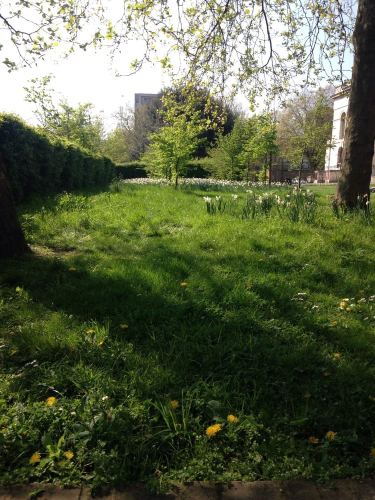 A photo of St George's Gardens