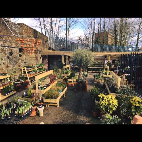 A photo of The Nunhead Gardener