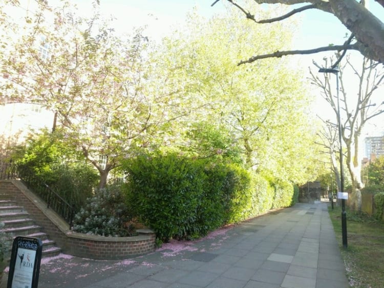 A photo of Wapping Woods