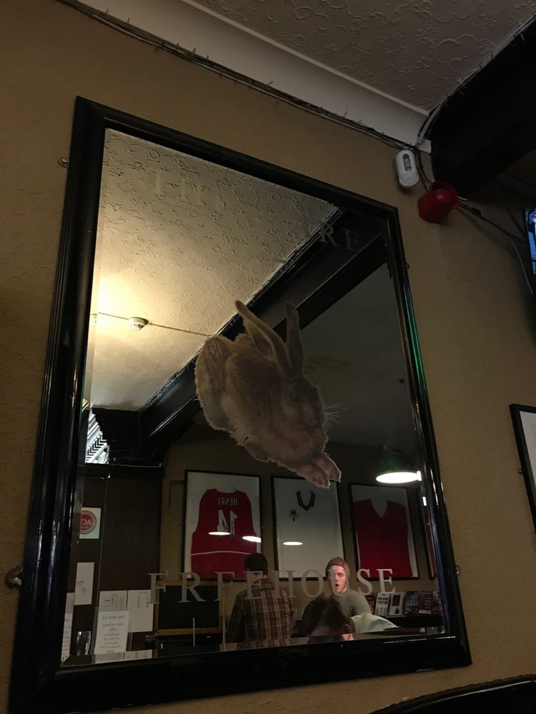 Une photo de The Hare E2
