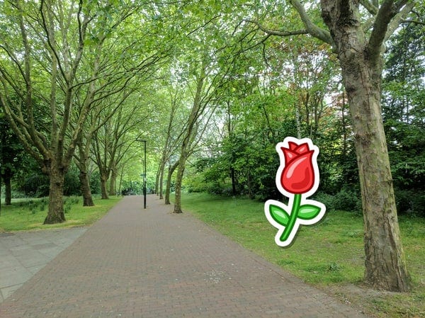 A photo of Wapping Woods