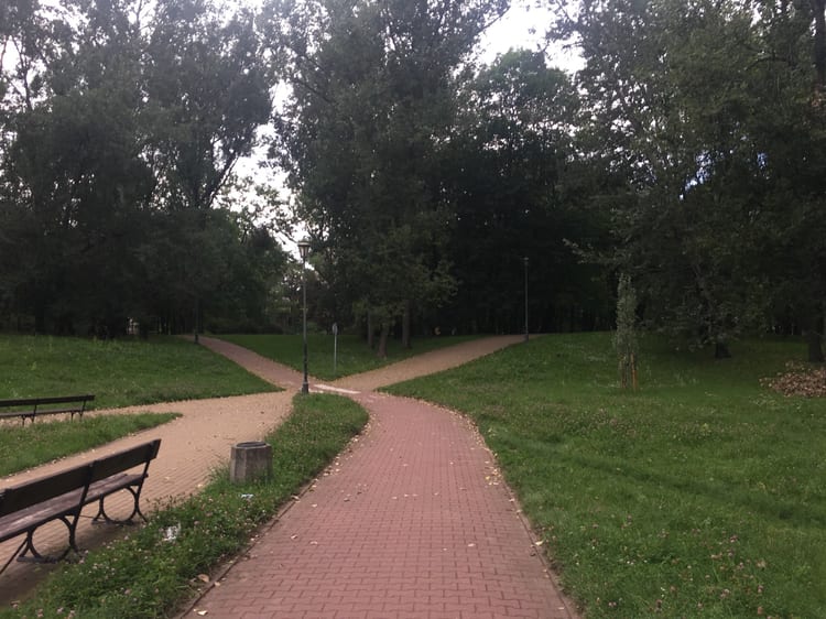 A photo of Park na Książęcem
