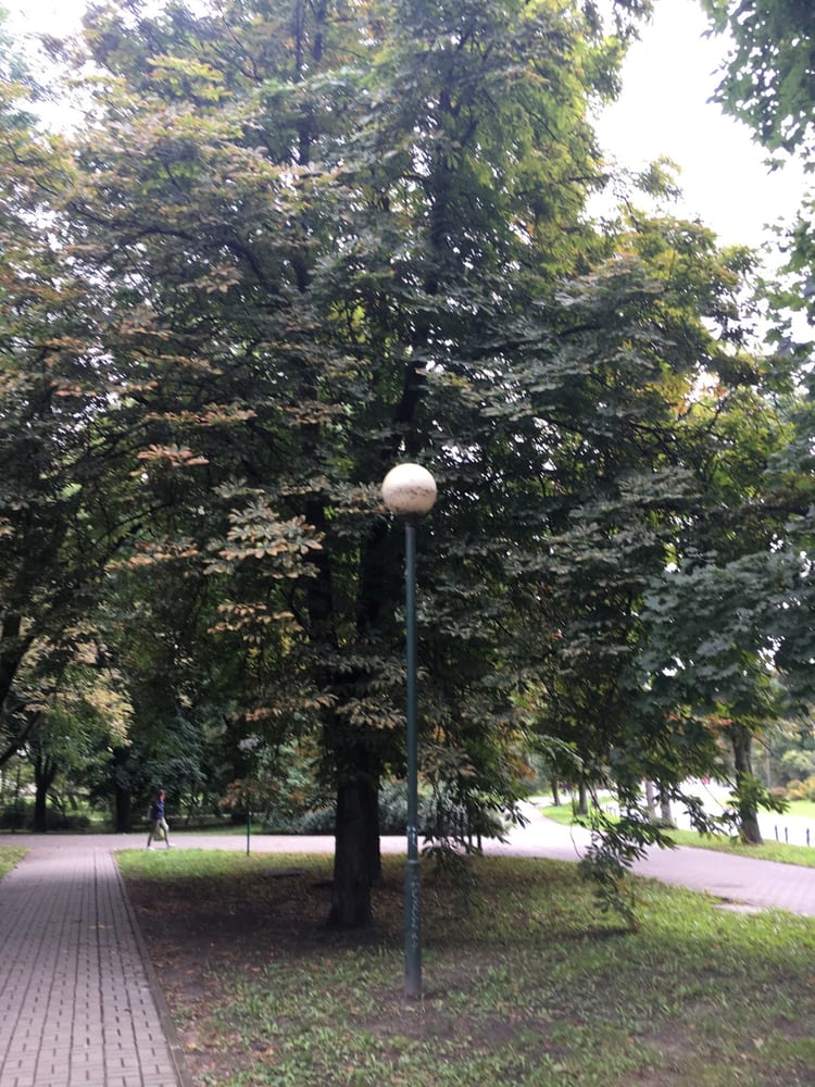 A photo of Park na Książęcem