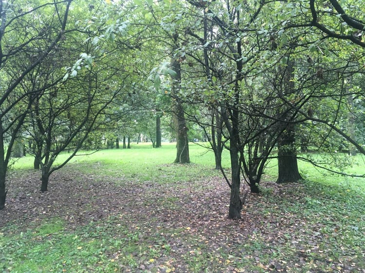 A photo of Park na Książęcem