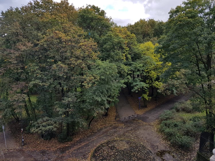 A photo of Park Karola Beyera