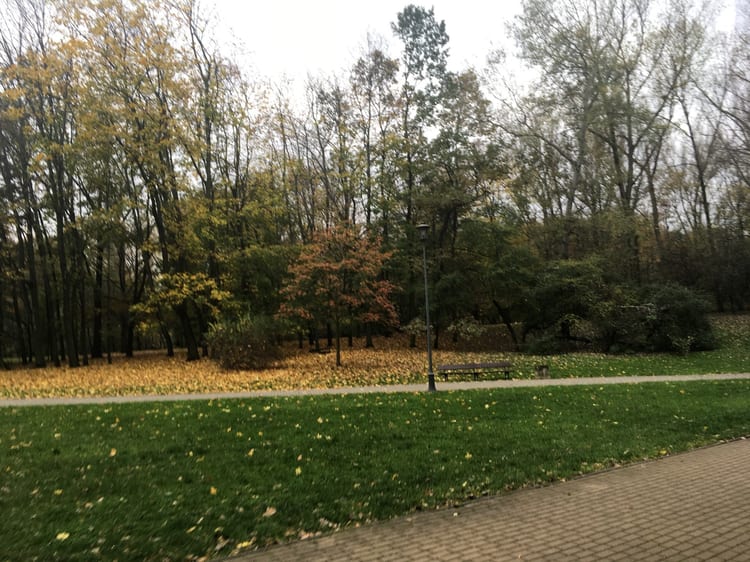A photo of Park na Książęcem
