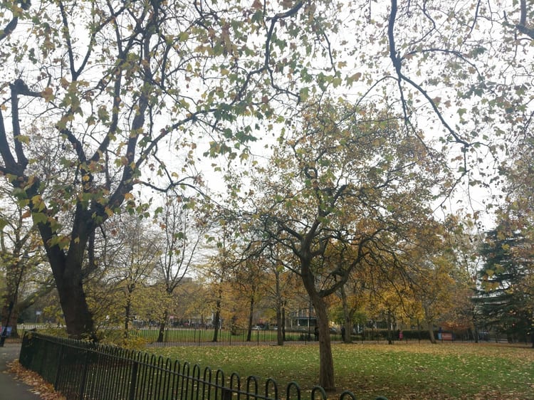 A photo of Bethnal Green Gardens