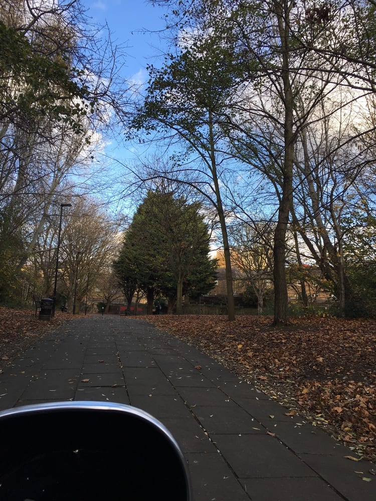 A photo of Wapping Woods