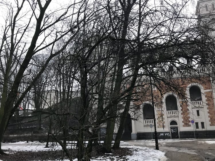 A photo of Park na Książęcem