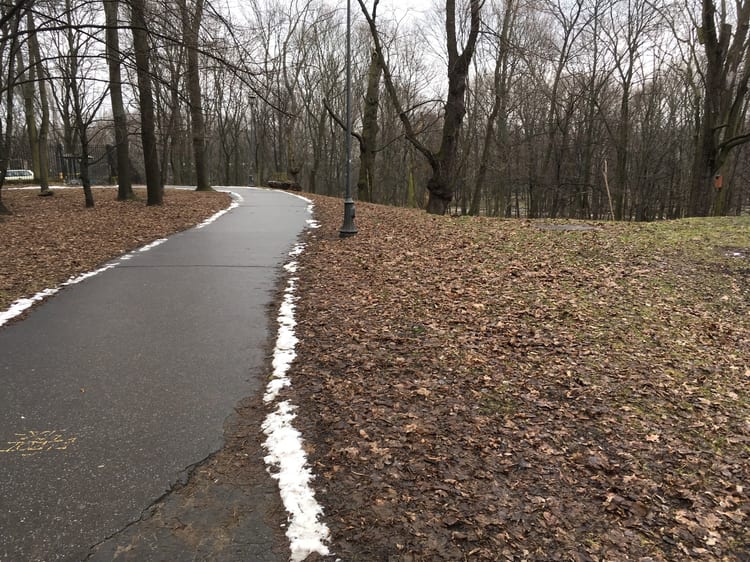 A photo of Park na Książęcem