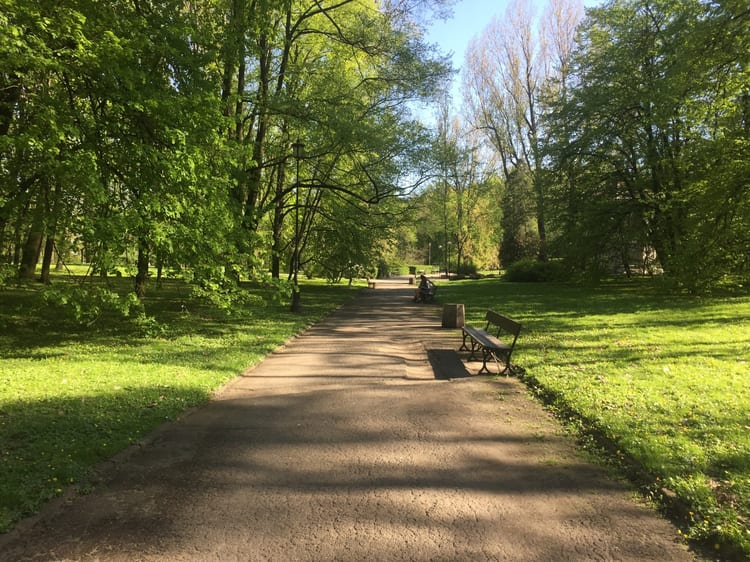 A photo of Park na Książęcem