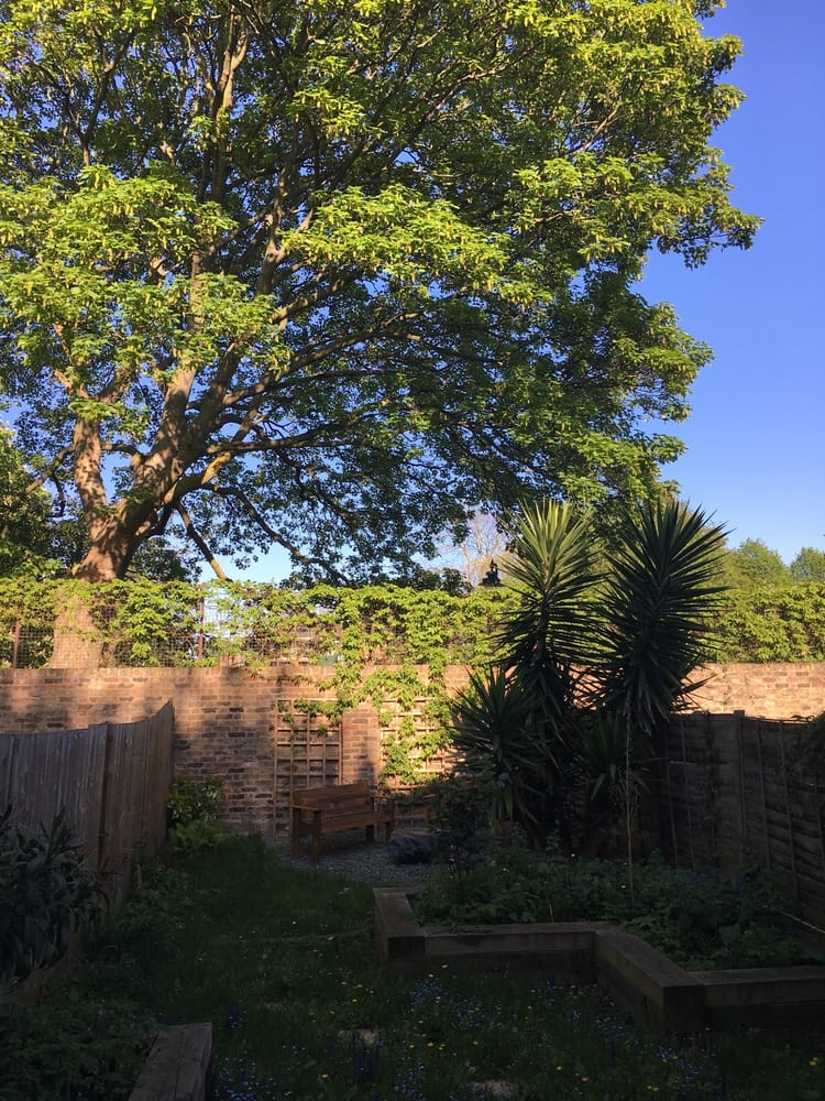 A photo of Brunswick Park