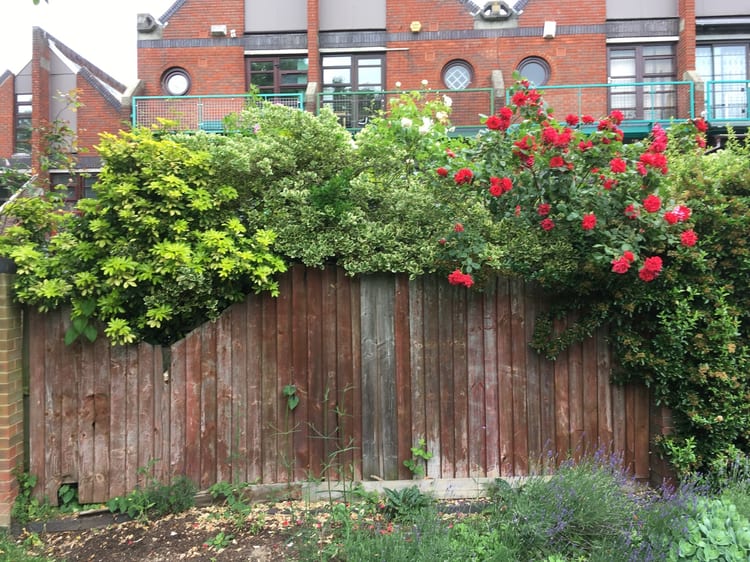 A photo of King's Stairs Gardens