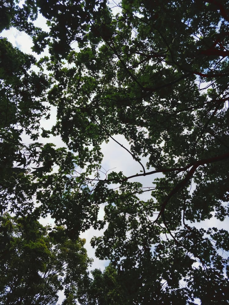 A photo of Park Karola Beyera
