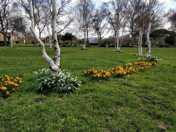 A photo of Haggerston Park