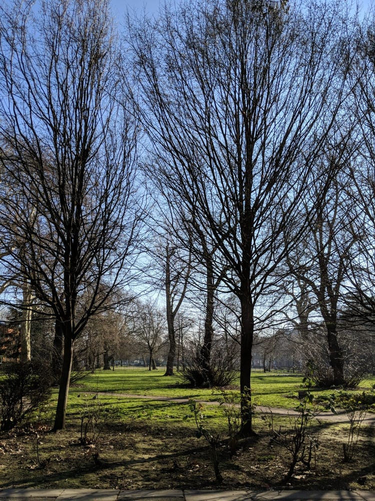 A photo of Bethnal Green Gardens
