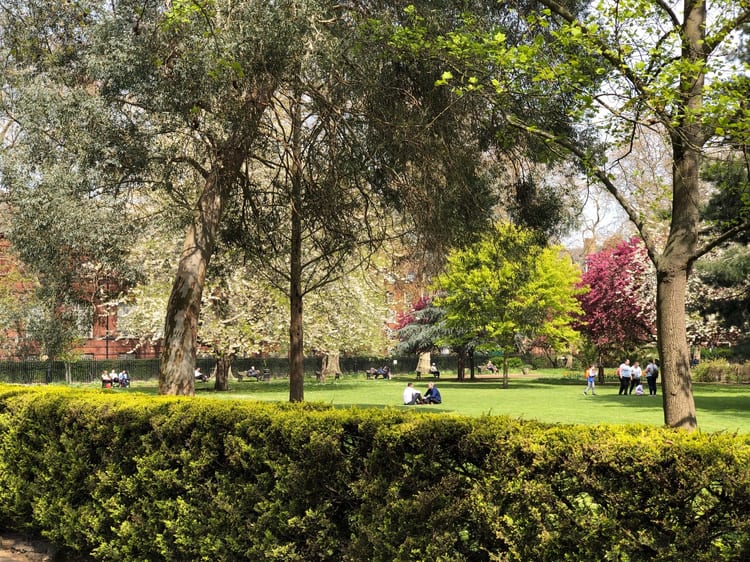 A photo of Museum Gardens