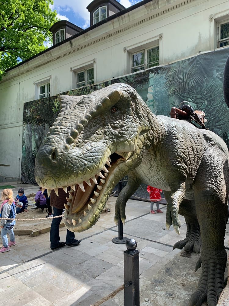 A photo of Earth Museum - Polish Academy of Sciences