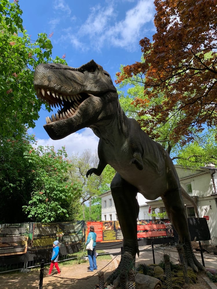 A photo of Earth Museum - Polish Academy of Sciences
