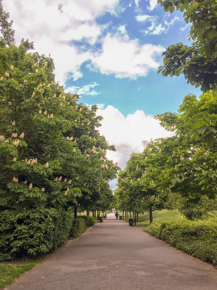 A photo of Ropemakers Fields
