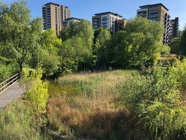 A photo of The Ecology Pavilion