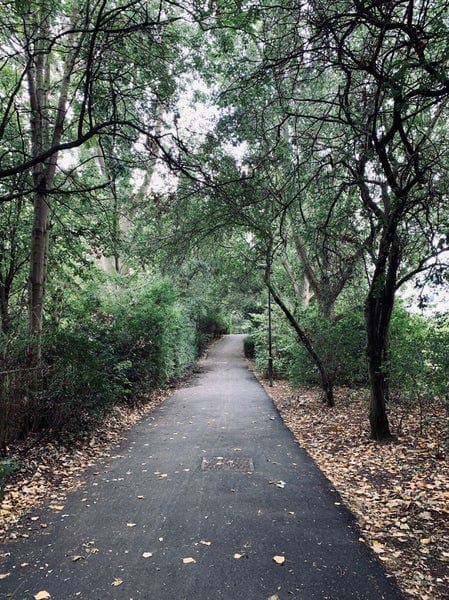 A photo of Haggerston Park